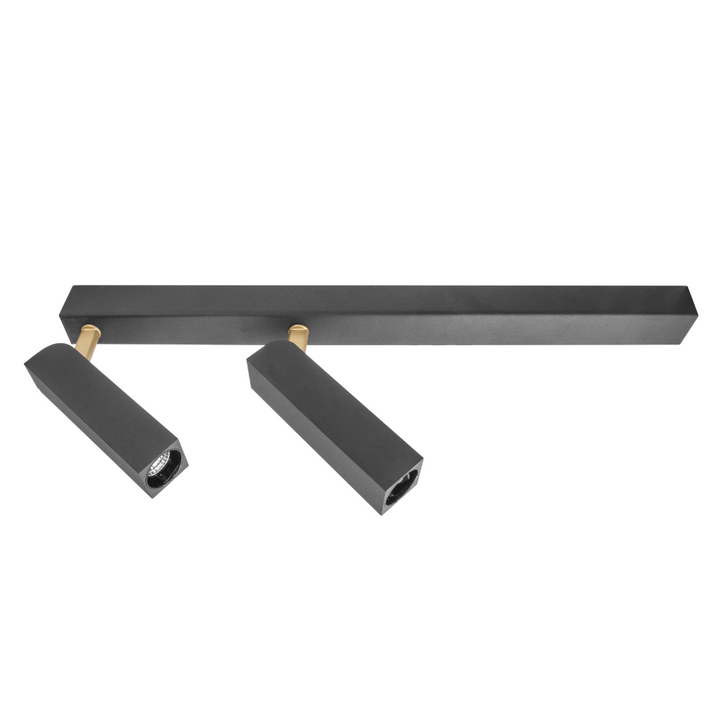Luminario sobreponer doble cabeza lineal dirigible 10W 38° luz cálida acabado negro de iLumileds