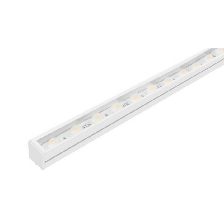 Tira LED 24V con óptica integrada 30x45° para interior y exterior 48 Chips 2835 rollo de 5m opciones color de luz de iLumileds