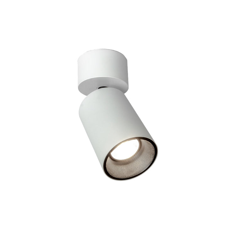 Proyector dirigle para sobreponer ANYA 28W 24° CRI>90, acabado negro o blanco, opción color de luz neutro cálido o neutro de AURO Lighting