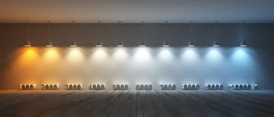 El Color de la Luz
