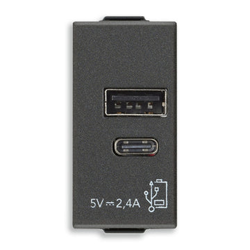 Alimentador USB A + C 5V 2.4A, 1 módulo para NeveUp opción acabado blanco o carbón mate de Vimar