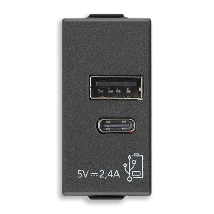 Alimentador USB A + C 5V 2.4A, 1 módulo para NeveUp opción acabado blanco o carbón mate de Vimar
