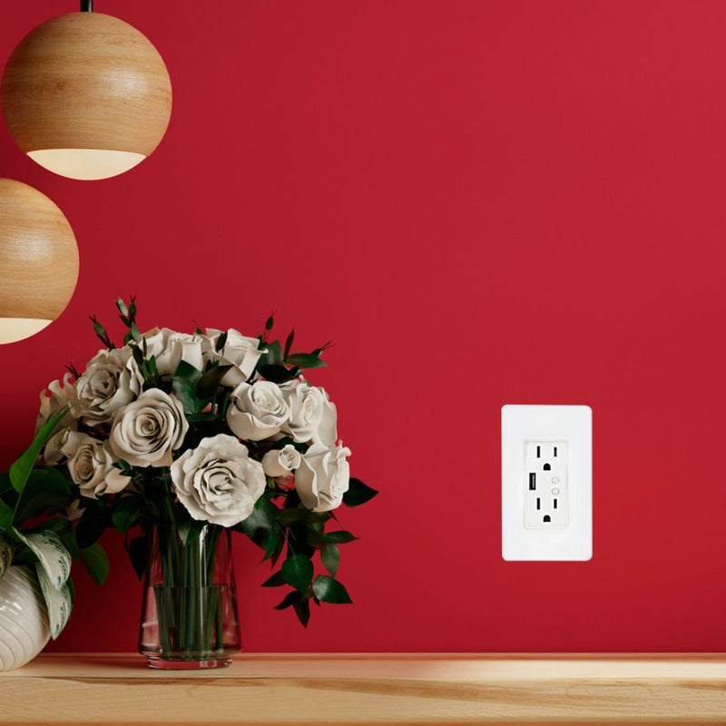 Contacto Duplex de pared WiFi Smart con una toma USB control individual o en conjunto 90-240V 15A de ICON