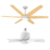 Ventilador de techo