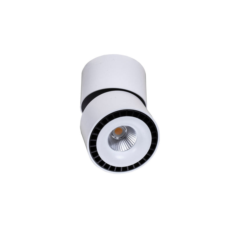 Proyector circular direccionable OTO 28W 24° CRI>90 acabado blanco o negro para sobreponer opciones color de luz neutro cálido y neutro de AURO Lighting