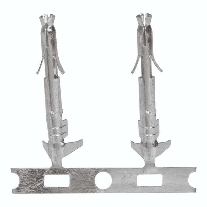 Conector mini AMP hembra máximo 30Vcc 3 AMP de iLumileds (No se vende individual)